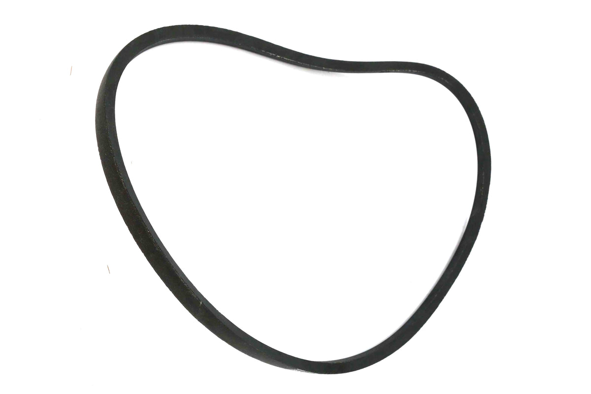 CHAMPION - B51 - BELT