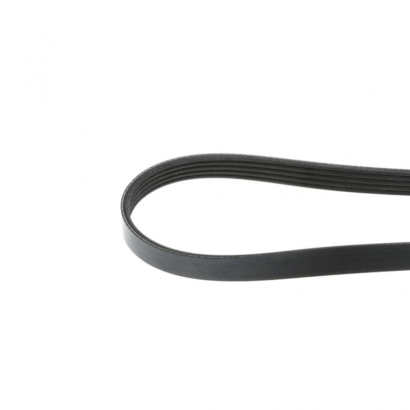 PAI INDUSTRIES ­-­ 050469 ­-­ SERPENTINE BELT REPLACES CUMMINS 206996