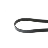 PAI INDUSTRIES ­-­ 050469 ­-­ SERPENTINE BELT REPLACES CUMMINS 206996