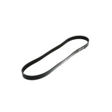 PAI INDUSTRIES ­-­ 050499 ­-­ SERPENTINE BELT REPLACES CUMMINS 3095880