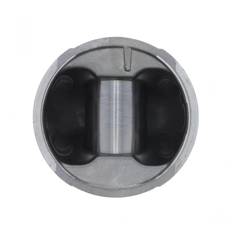 PAI INDUSTRIES ­-­ 111281 ­-­ PISTON KIT