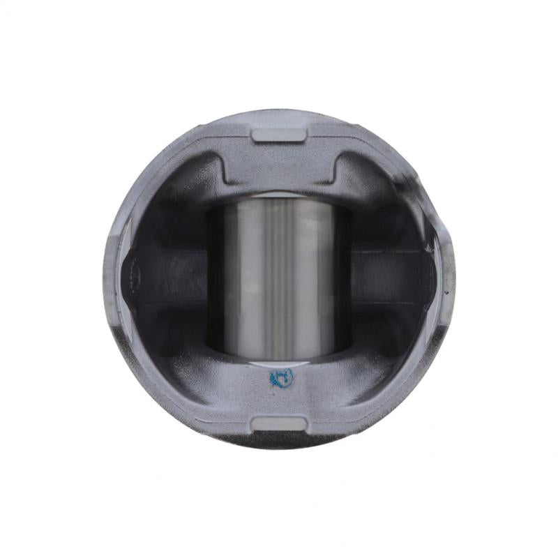 PAI INDUSTRIES ­-­ 111366 ­-­ PISTON KIT