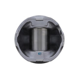 PAI INDUSTRIES ­-­ 111366 ­-­ PISTON KIT