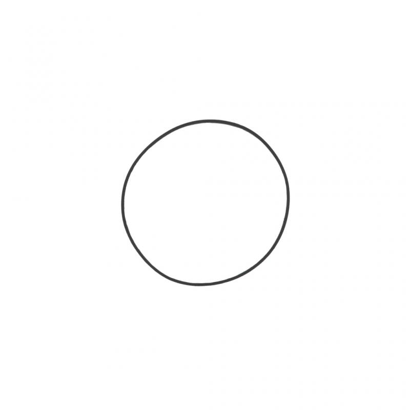 PAI INDUSTRIES ­-­ 121409 ­-­ RECTANGULAR SECTION SEALING RING (6PCS) REPLACES CUMMINS 4386754