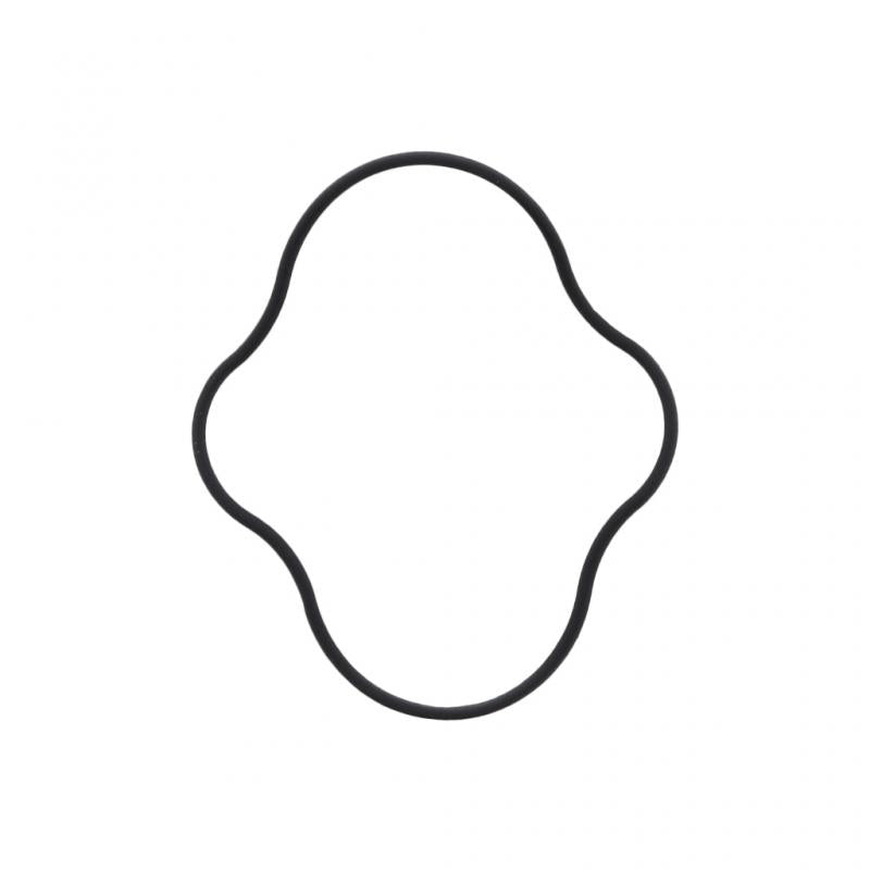 PAI INDUSTRIES ­-­ 132068OEM ­-­ FUEL PUMP GASKET (2PCS) REPLACES CUMMINS 4001927