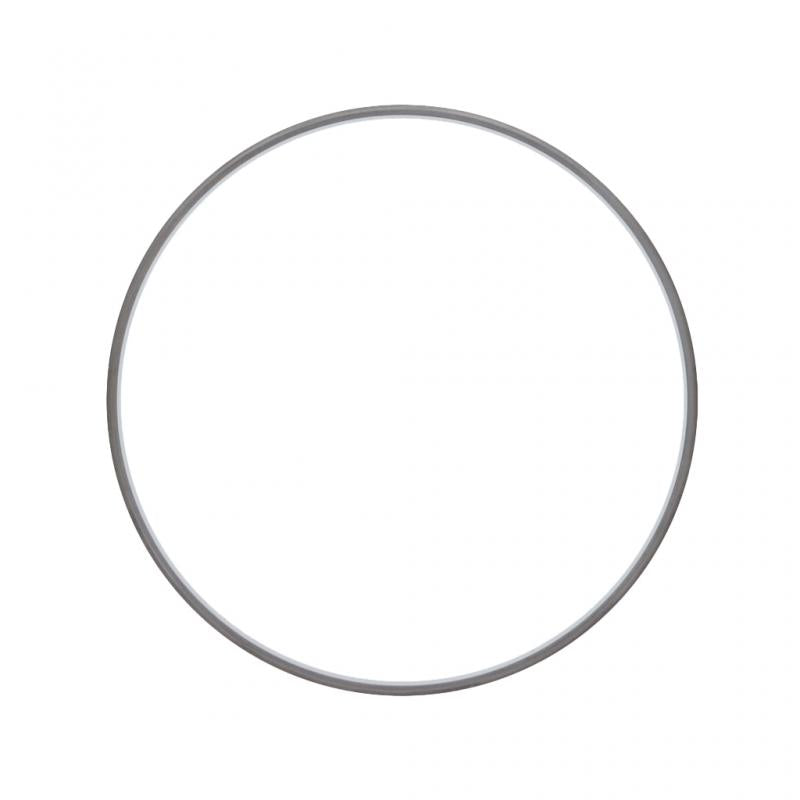 PAI INDUSTRIES ­-­ 161996 ­-­ RING REPLACES CUMMINS 3689871