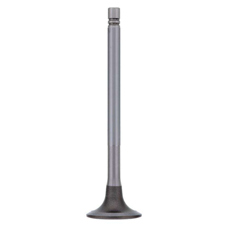 PAI INDUSTRIES ­-­ 191950E ­-­ INTAKE VALVE (2PCS) REPLACES CUMMINS 135957