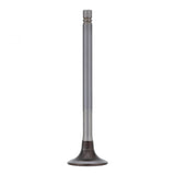 PAI INDUSTRIES ­-­ 191955E ­-­ EXHAUST VALVE (2PCS) REPLACES CUMMINS 145701