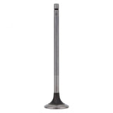 PAI INDUSTRIES ­-­ 191959 ­-­ EXHAUST VALVE (2PCS) REPLACES CUMMINS 3069672