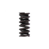 PAI INDUSTRIES ­-­ 192106 ­-­ EXHAUST VALVE SPRING (6PCS) REPLACES CUMMINS 3916588