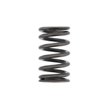 PAI INDUSTRIES ­-­ 192156 ­-­ VALVE SPRING (6PCS) REPLACES CUMMINS 3940279