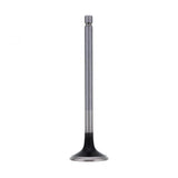 PAI INDUSTRIES ­-­ 192217 ­-­ EXHAUST VALVE (2PCS) REPLACES CUMMINS 3942589