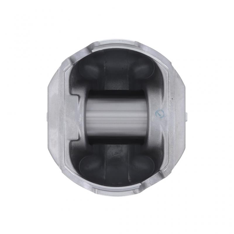 PAI INDUSTRIES ­-­ 311031 ­-­ PISTON KIT