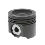 PAI INDUSTRIES ­-­ 311166 ­-­ PISTON KIT