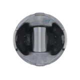 PAI INDUSTRIES ­-­ 311173 ­-­ PISTON KIT