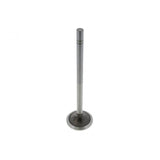 PAI INDUSTRIES ­-­ 391944 ­-­ INTAKE VALVE (2PCS) REPLACES CATERPILLAR 7E9578