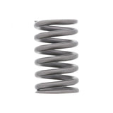 PAI INDUSTRIES ­-­ 392043 ­-­ OUTER VALVE SPRING (6PCS) REPLACES CATERPILLAR 4W2471