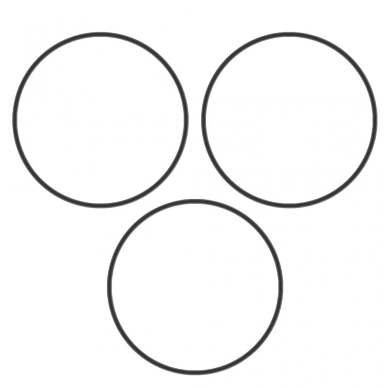 PAI INDUSTRIES ­-­ 421200 ­-­ O-RING KIT REPLACES NAVISTAR 680086C1