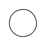 PAI INDUSTRIES ­-­ 421244 ­-­ O-RING REPLACES NAVISTAR 1836786C1