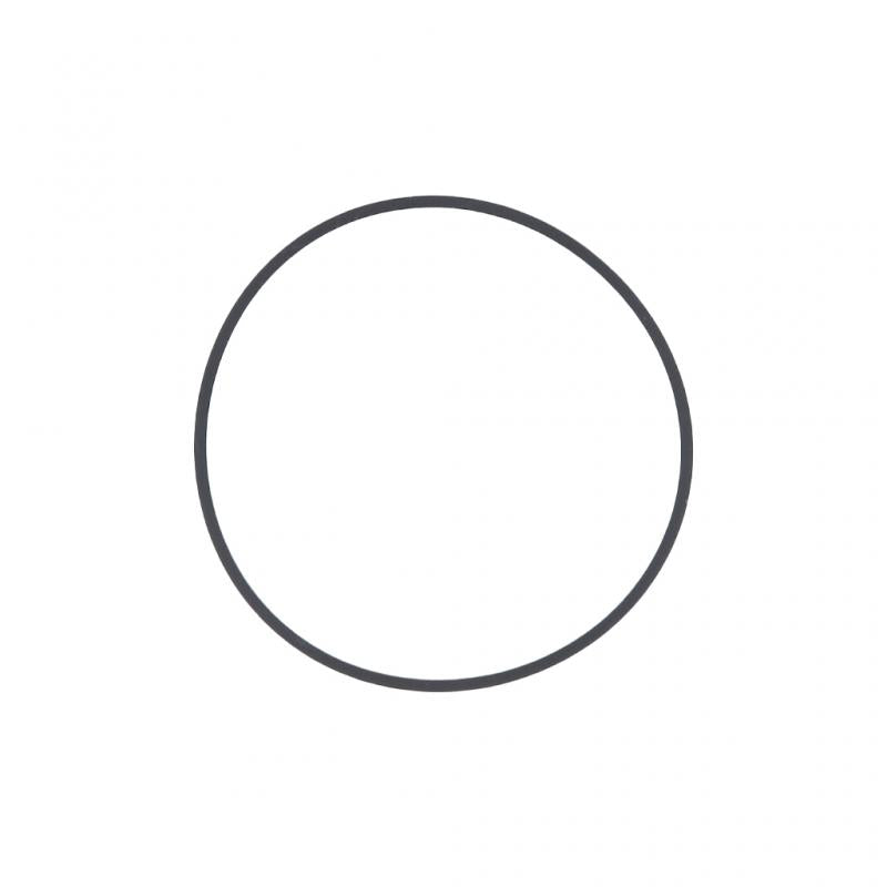 PAI INDUSTRIES ­-­ 421269 ­-­ RECTANGULAR SEALING RING (5PCS) REPLACES NAVISTAR 2507061C1