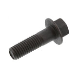 PAI INDUSTRIES ­-­ 440039OEM ­-­ FLANGED HEX HEAD CAPSCREW (10PCS) REPLACES NAVISTAR 1841365C3