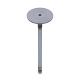 PAI INDUSTRIES ­-­ 491003 ­-­ INTAKE VALVE (2PCS) REPLACES NAVISTAR 1818580C1