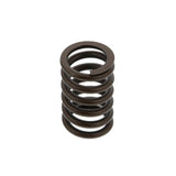 PAI INDUSTRIES ­-­ 491030 ­-­ VALVE SPRING (2PCS) REPLACES NAVISTAR 677349C1