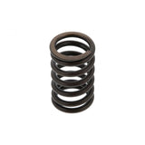 PAI INDUSTRIES ­-­ 491032 ­-­ VALVE SPRING (6PCS) REPLACES NAVISTAR 1842146C1