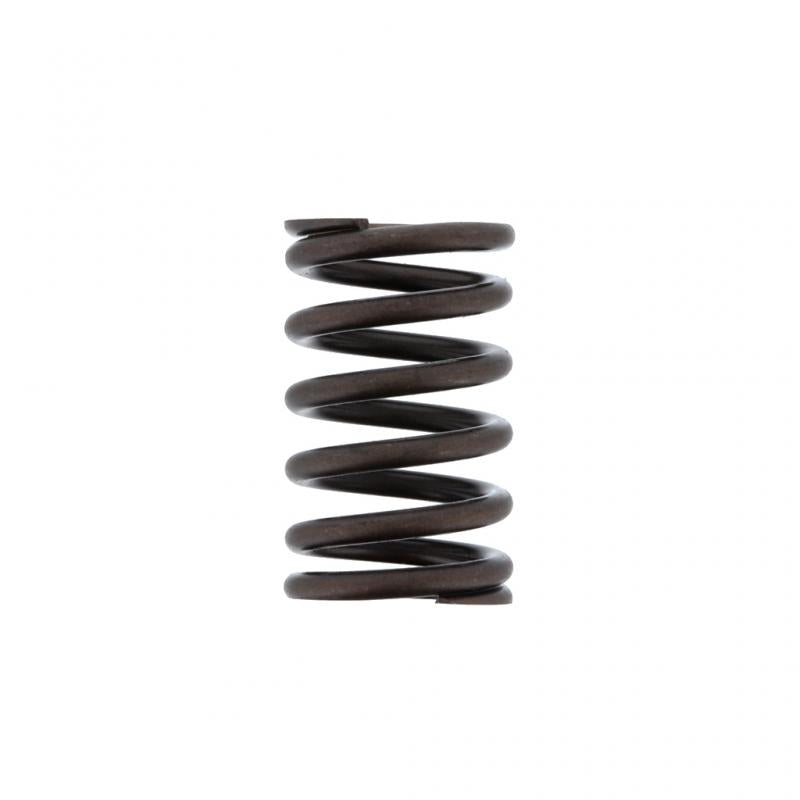 PAI INDUSTRIES ­-­ 491032 ­-­ VALVE SPRING (6PCS) REPLACES NAVISTAR 1842146C1
