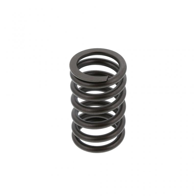PAI INDUSTRIES ­-­ 492000 ­-­ VALVE SPRING (6PCS) REPLACES NAVISTAR 682064C1