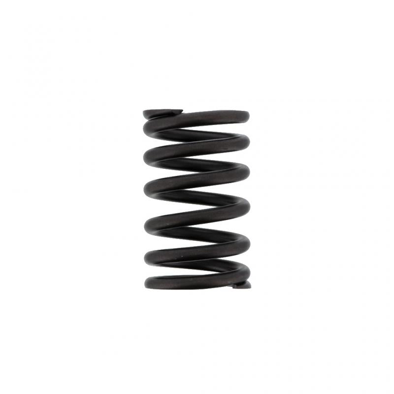 PAI INDUSTRIES ­-­ 492000 ­-­ VALVE SPRING (6PCS) REPLACES NAVISTAR 682064C1