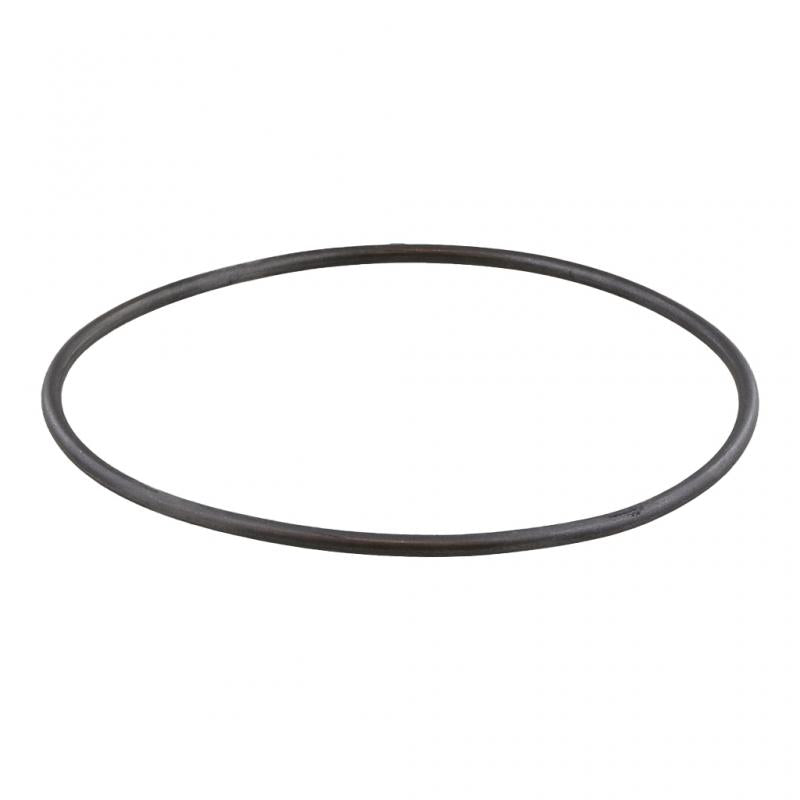 PAI INDUSTRIES ­-­ 636013OEM ­-­ REAR GEAR HOUSING O-RING (2PCS) REPLACES DETROIT DIESEL A0229978945