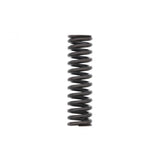 PAI INDUSTRIES ­-­ 692004 ­-­ INTAKE VALVE SPRING REPLACES DETROIT DIESEL A4720530420