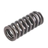PAI INDUSTRIES ­-­ 692010 ­-­ VALVE SPRING (6PCS) REPLACES DETROIT DIESEL 8929415