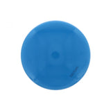 PAI INDUSTRIES ­-­ 804098 ­-­ BYPASS OIL FILTER (12PCS) REPLACES MACK 20843764