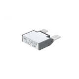 PAI INDUSTRIES ­-­ 804105 ­-­ CIRCUIT BREAKER (2PCS) REPLACES MACK 11MR318M