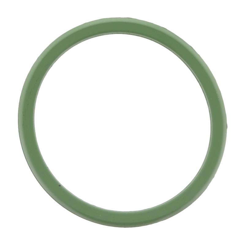 PAI INDUSTRIES ­-­ 821097 ­-­ SEALING RING (6PCS) REPLACES MACK 22374837