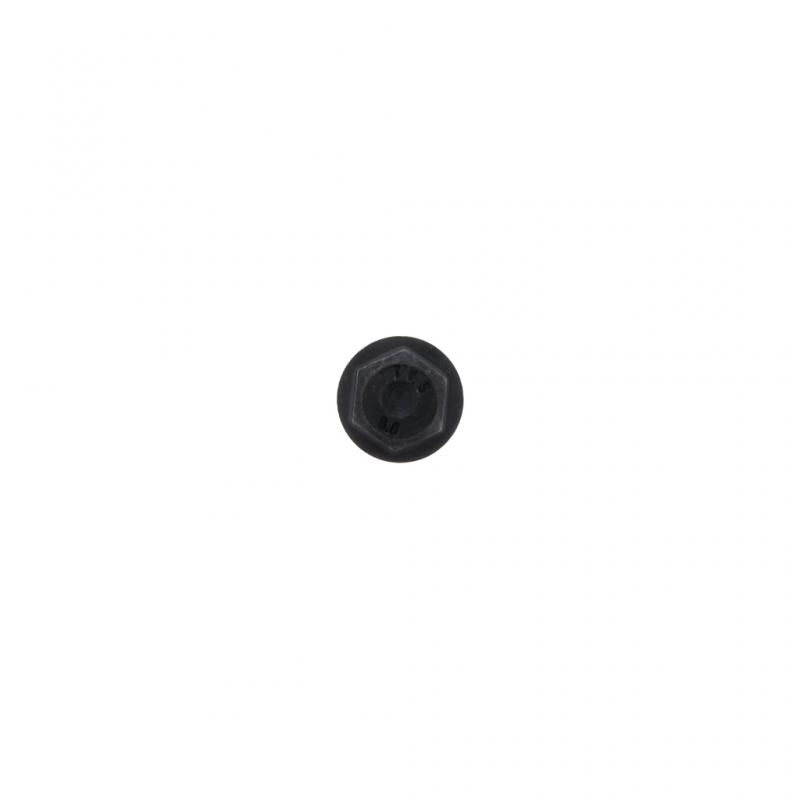 PAI INDUSTRIES ­-­ 840010 ­-­ SCREW (5PCS) REPLACES MACK 965216