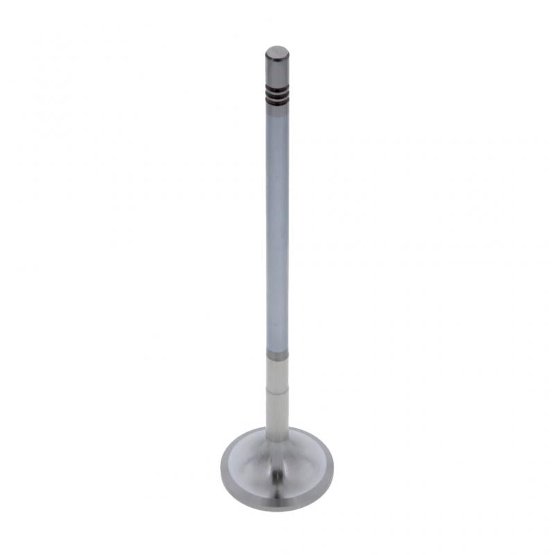 PAI INDUSTRIES ­-­ 845010 ­-­ INTAKE VALVE (2PCS) REPLACES MACK 20740798