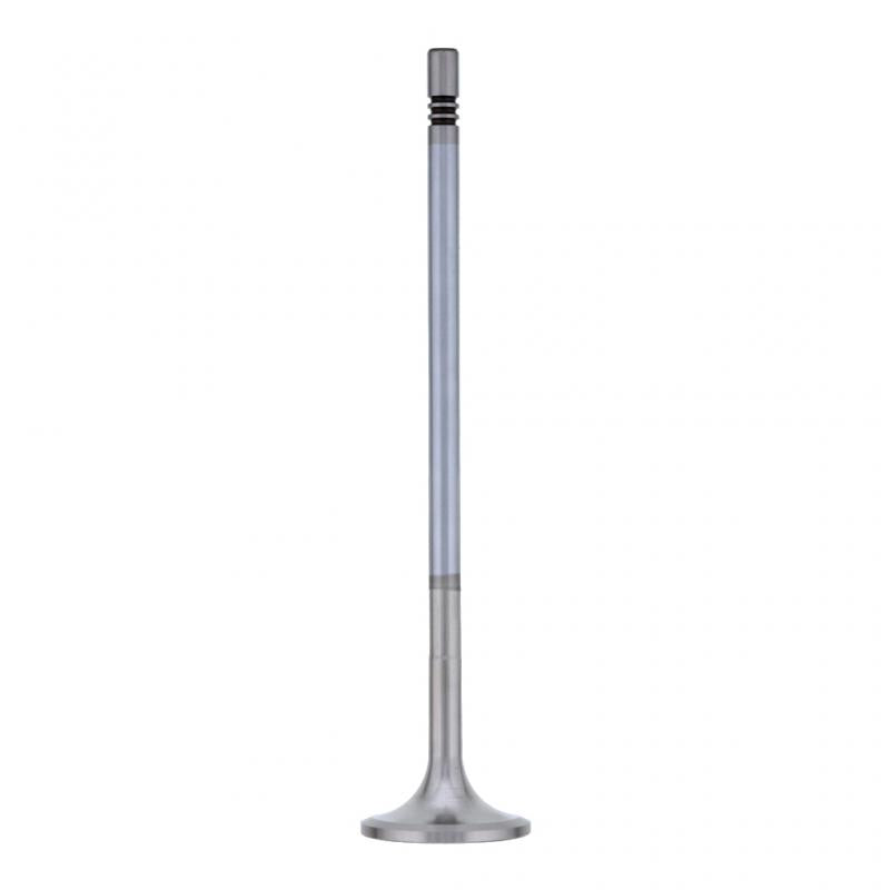 PAI INDUSTRIES ­-­ 845010 ­-­ INTAKE VALVE (2PCS) REPLACES MACK 20740798