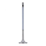 PAI INDUSTRIES ­-­ 845010 ­-­ INTAKE VALVE (2PCS) REPLACES MACK 20740798