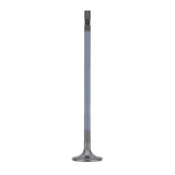 PAI INDUSTRIES ­-­ 845012 ­-­ INTAKE VALVE (2PCS) REPLACES MACK 20737856