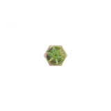 PAI INDUSTRIES ­-­ CSC-0821 ­-­ SCREW (10PCS) REPLACES MACK 419GC115