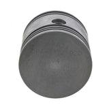 PAI INDUSTRIES ­-­ DPA-4372-020 ­-­ PISTON ASSEMBLY REPLACES MACK 745-106111