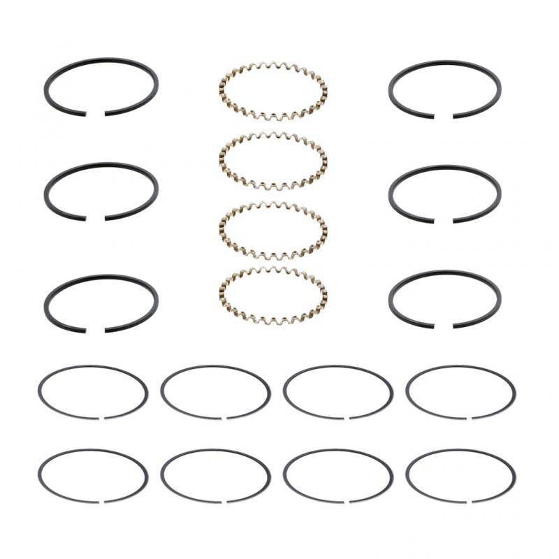 PAI INDUSTRIES ­-­ DRS-4312G-020 ­-­ AIR COMPRESSOR RING SET REPLACES MACK 745-106107