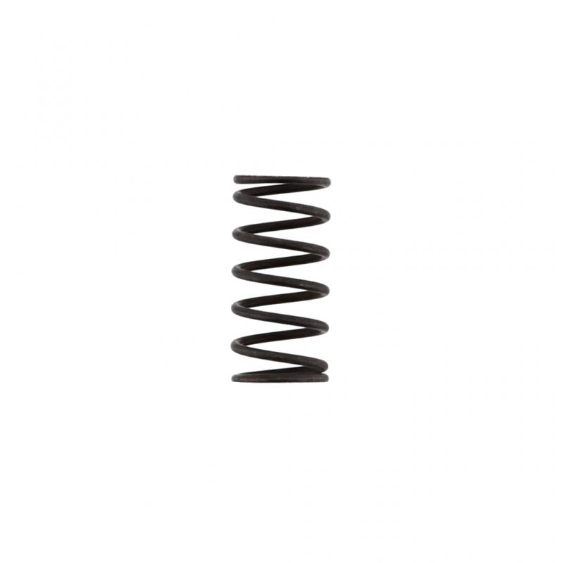 PAI INDUSTRIES ­-­ DSP-4107 ­-­ DISCHARGE VALVE SPRING (6PCS) REPLACES MACK 745-292375