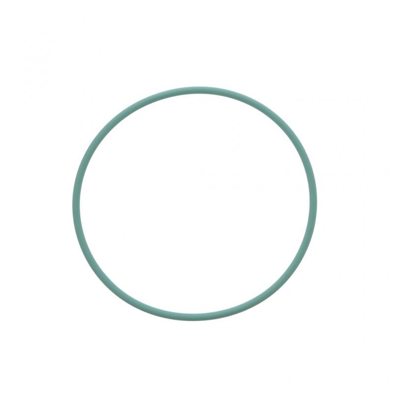 PAI INDUSTRIES ­-­ EGA-8909 ­-­ O-RING (5PCS) REPLACES MACK 447GC219