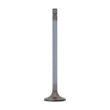 PAI INDUSTRIES ­-­ EM81350 ­-­ INTAKE VALVE (2PCS) REPLACES MACK 690GC2210