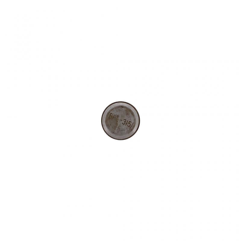 PAI INDUSTRIES ­-­ EPL-3151 ­-­ PLUNGER REPLACES MACK 296GC21A