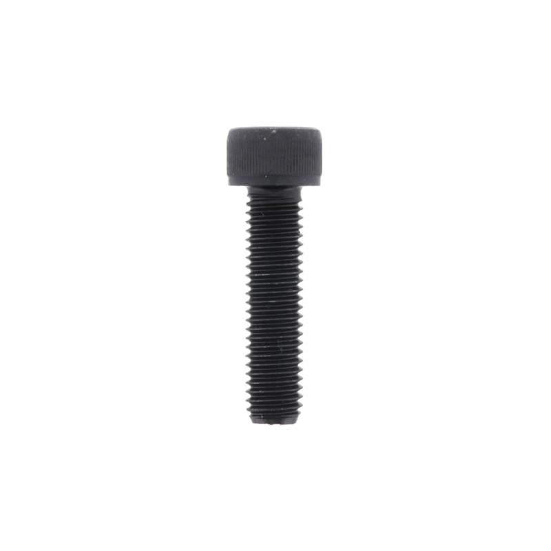 PAI INDUSTRIES ­-­ ESC-0338 ­-­ SCREW (6PCS) REPLACES MACK 421GC2123M